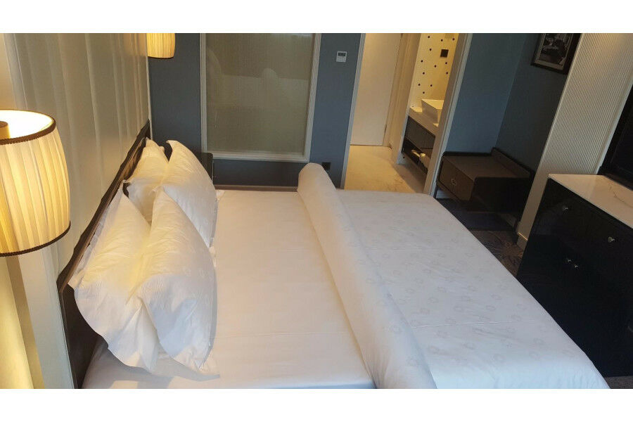 Jinjiang Metropolo Nanjing Confucius Temple Center Hotel מראה חיצוני תמונה