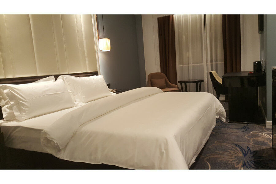 Jinjiang Metropolo Nanjing Confucius Temple Center Hotel מראה חיצוני תמונה